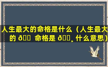 人生最大的命格是什么（人生最大的 🐠 命格是 🌸 什么意思）